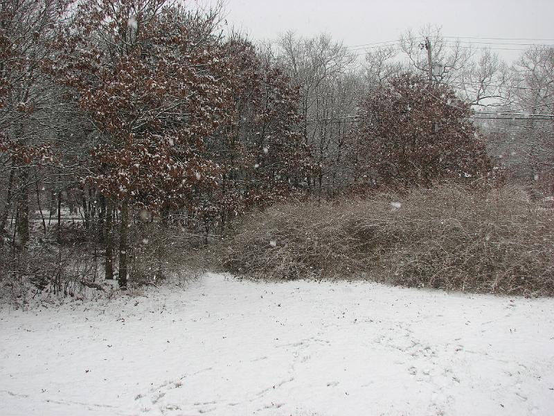 2008-12-07_First_Snow 071.jpg